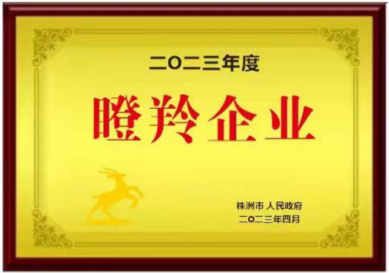 2023年度瞪羚企業